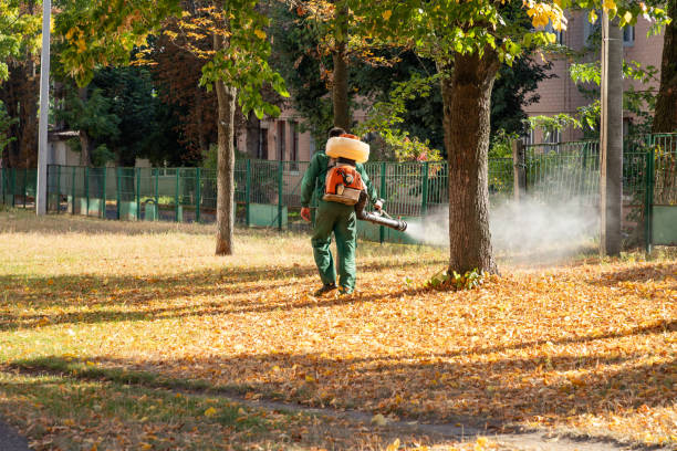 Best Flea Control Services  in Greenwood, MO