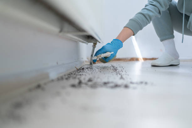Best Pest Removal Services  in Greenwood, MO